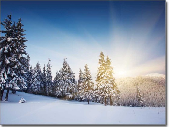 Preview: Winterlandschaft