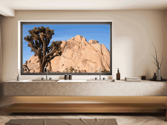 Preview: Fotofolie Joshua Tree USA