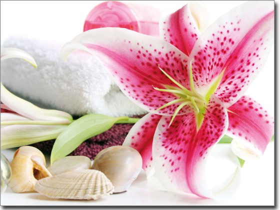 Preview: Glasbild Pink Lilie