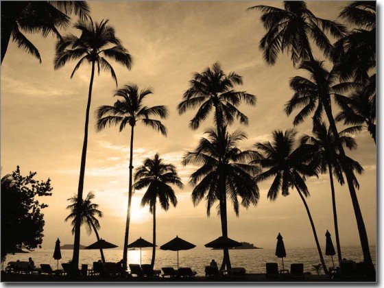 Preview: Glasbild Südseezauber