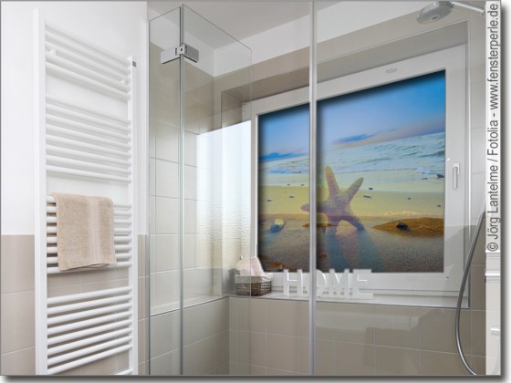 Preview: Fensterbild Seestern