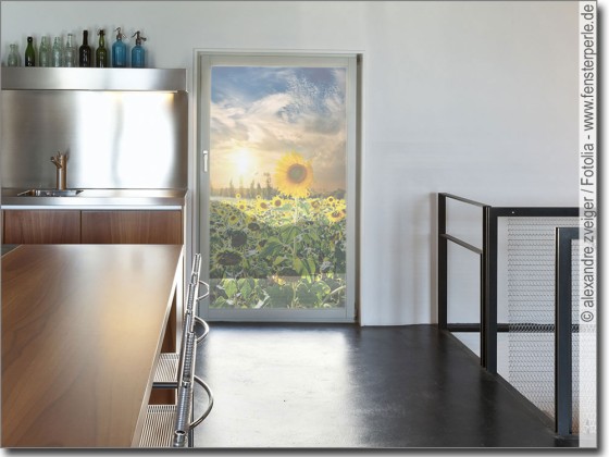 Preview: Feld mit Sonnenblumen