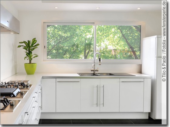 Preview: Bild für Glas Sommerwald