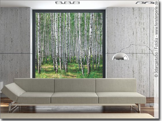 Preview: Glasbild Birkenwald Preview: Glasbild Birkenwald