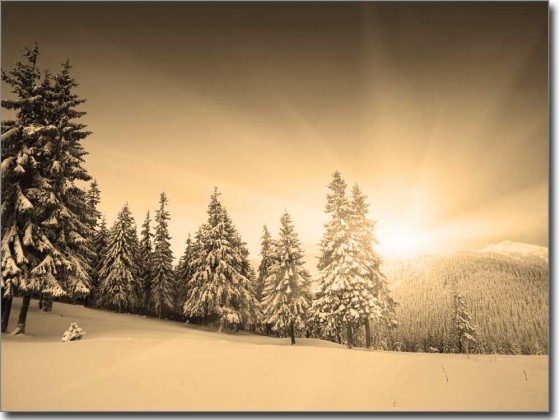 Preview: Fensterbild Schneelandschaft