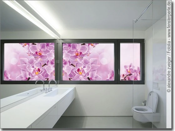 Glasbild Pink Orchidee