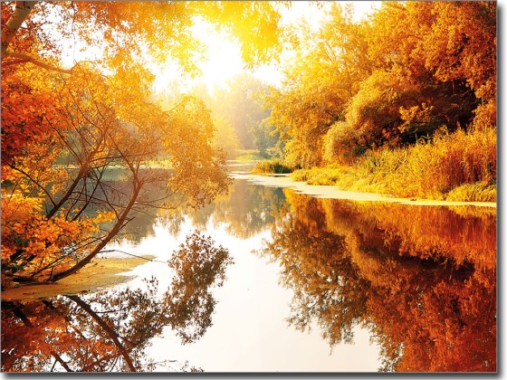 Preview: Glasbild Herbst