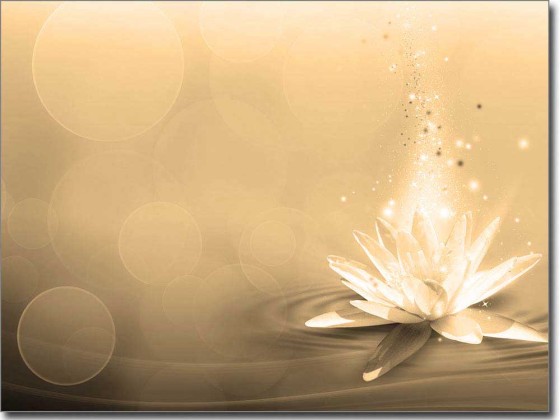 Preview: Glasposter Seerose