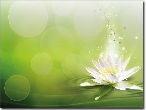 Preview: Glasposter Seerose