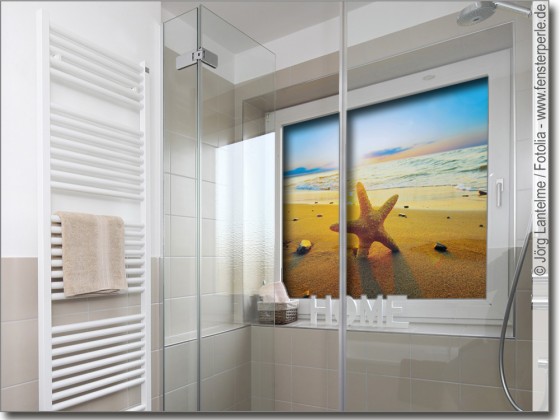 Preview: Fensterbild Seestern