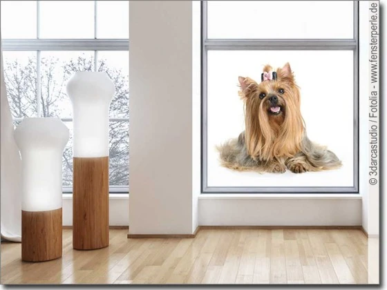 Glasbild mit süßem Yorkshire Terrier