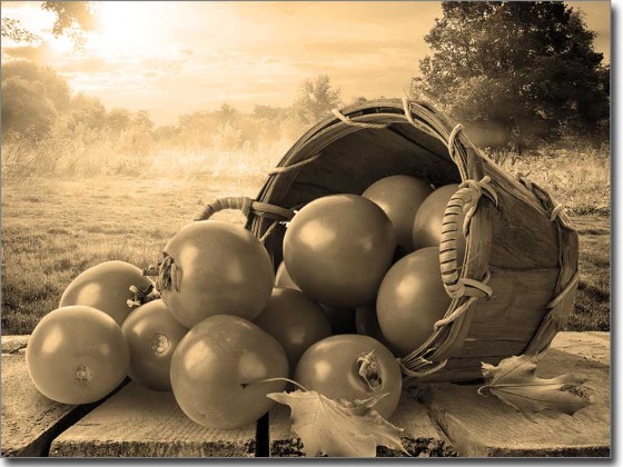 Preview: Fensterbild Tomaten