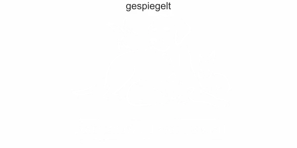 Glastattoo für Tierarztpraxis mit Wunschtext - Ansicht Ausrichtung mit Farbauswahl