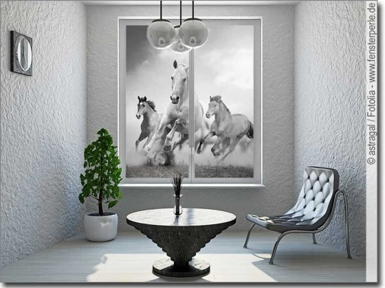 selbstklebendes Glasfoto mit wilden Pferden