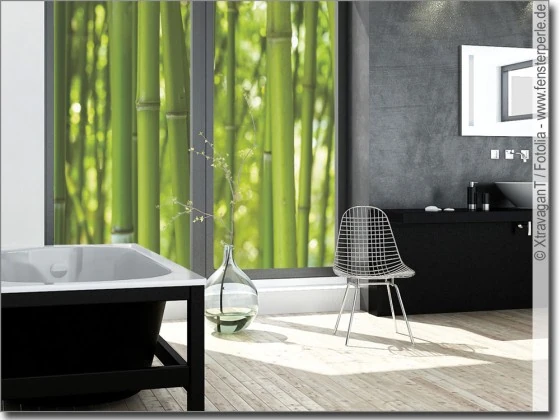 Glasbild Bambus