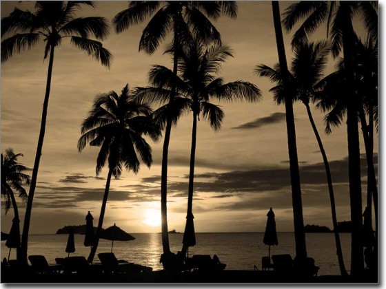 Preview: Abendstimmung unter Palmen Preview: Abendstimmung unter Palmen