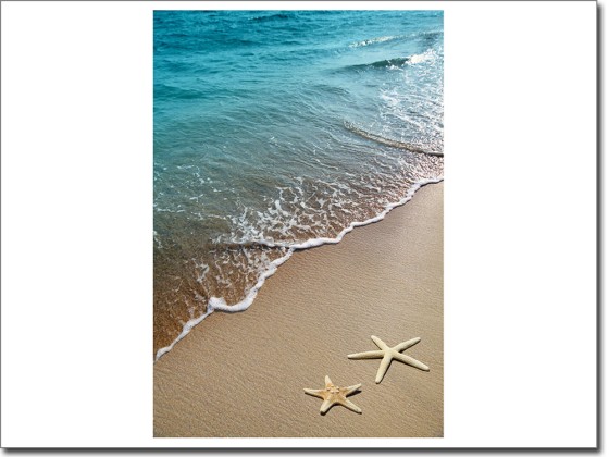 Preview: Glasbild Strand mit Seesternen