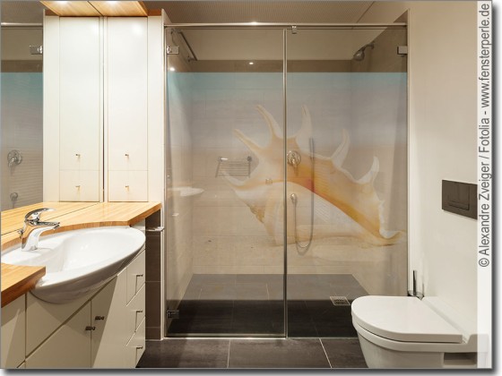 Preview: Muschel und Meer