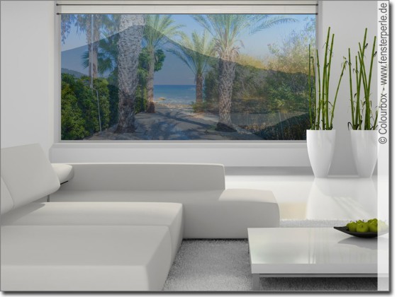 Preview: Foliendruck Palmenallee