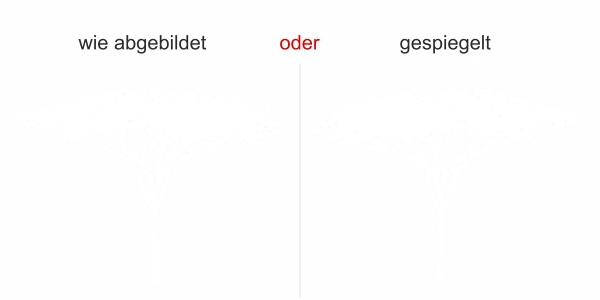 Dekofolie für Fenster Savannenbaum - Ansicht Ausrichtung und Farbauswahl