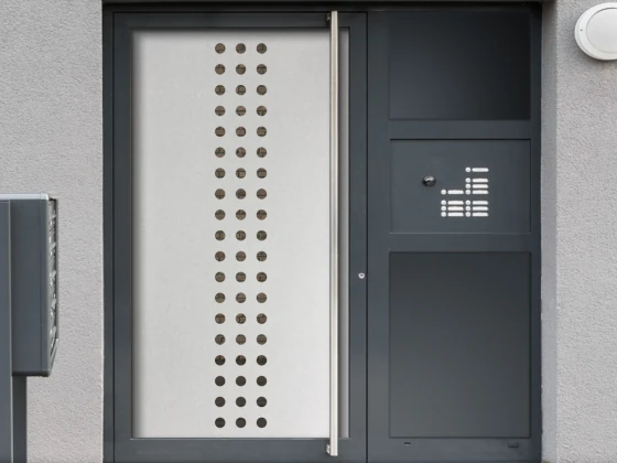 Glastür Sichtschutzfolie Kreise auf Haustür
