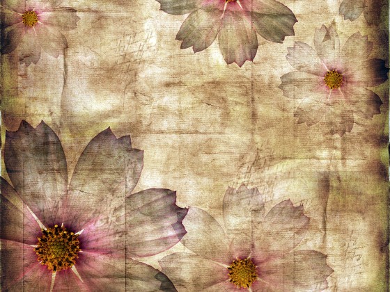 Preview: Scheibenfolie Vintage