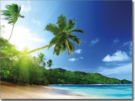 Preview: Glasdruck Palme