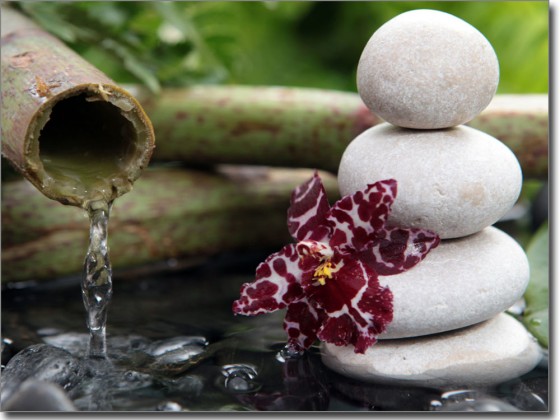 Preview: Fensterbild Wellness