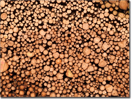 Selbstklebende Folie in Holzoptik