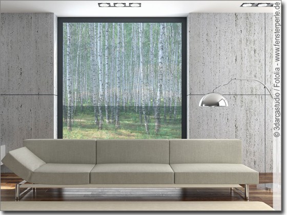 Preview: Glasbild Birkenwald Preview: Glasbild Birkenwald