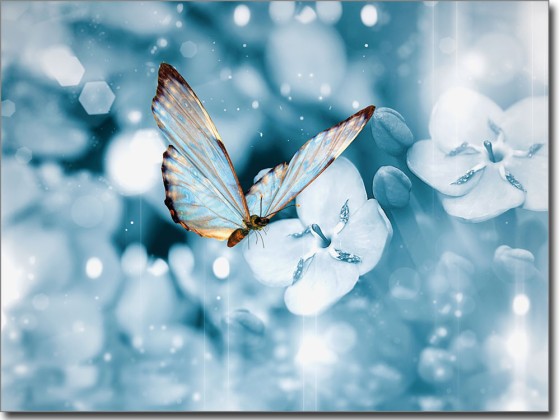Preview: Butterfly Glasfolie Preview: Butterfly Glasfolie farbig