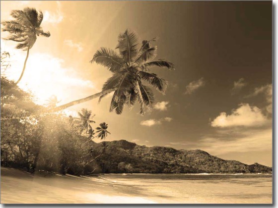 Preview: Glasdruck Palme