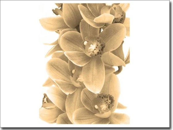 Digitaldruck auf Glas mit Orchidee in sepia