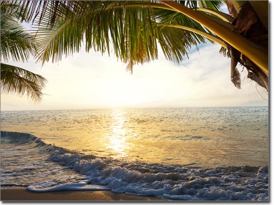 Preview: Sonnenuntergang am Palmenstrand Fensterbild
