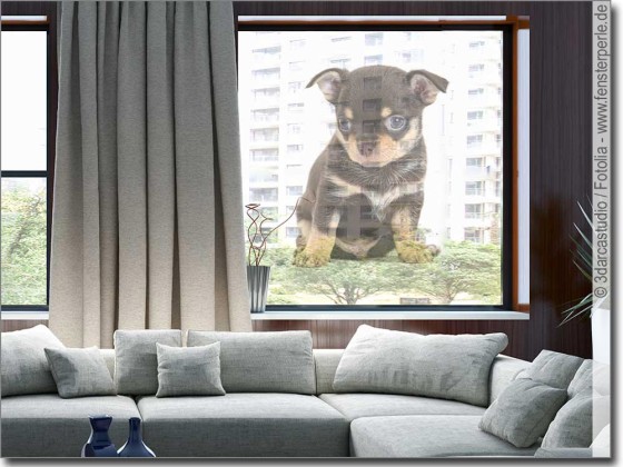 Preview: Transparente Fotofolie für Glas Hundebaby