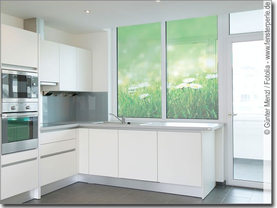 Preview: Wiese im Sommer