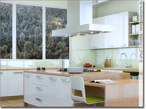 Preview: Fotofolie Kakteen