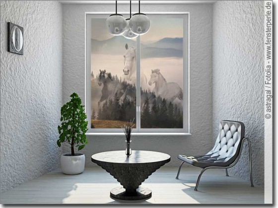 Preview: Transparentes Glasbild Wilde Pferde - Fotofolie für Glas