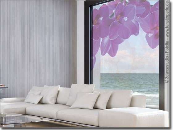 Preview: Purpur Orchidee