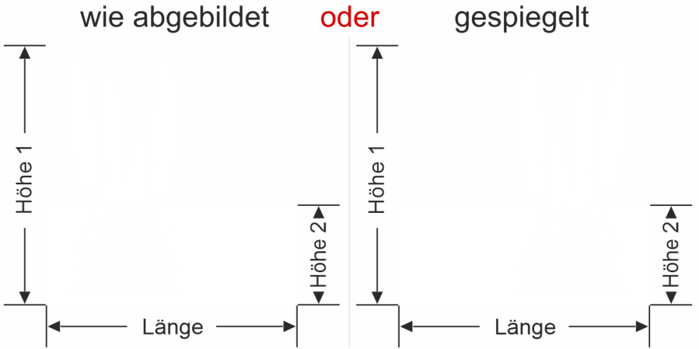 Fensterfolie Pampasgras mit Zierwedel