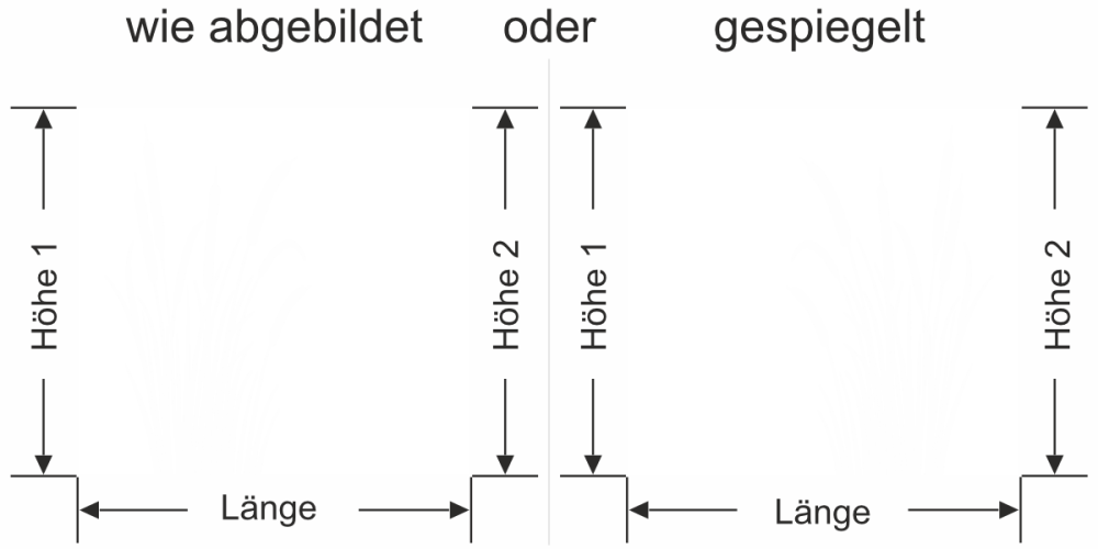 Sichtschutzfolie Kolbenschilf
