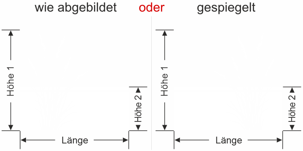 Fensterfolie Schlankes Ziergrasmotiv