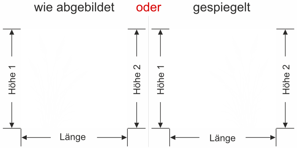 Fensterfolie Schlankes Ziergrasmotiv
