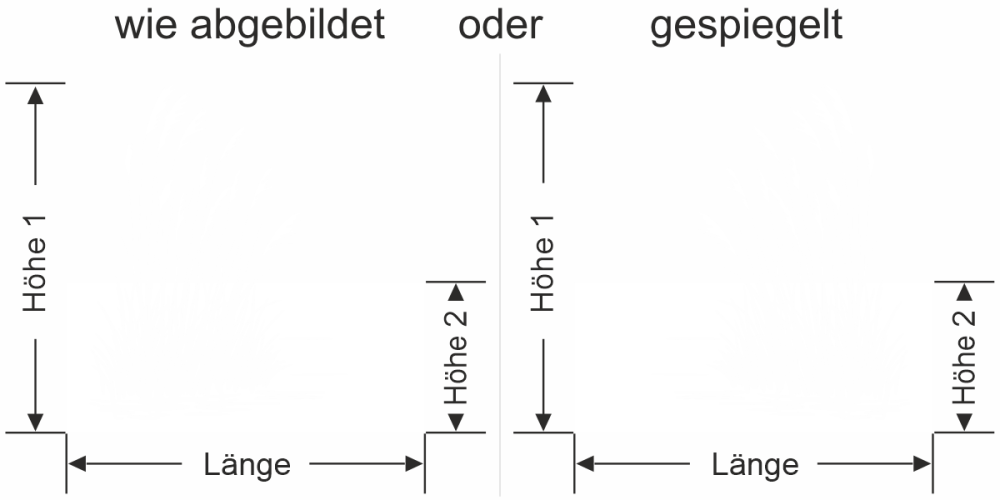 Fensterfolie Schilfgras am Uferrand