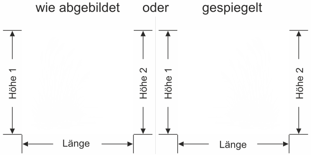 Fensterfolie Schilfgras am Uferrand