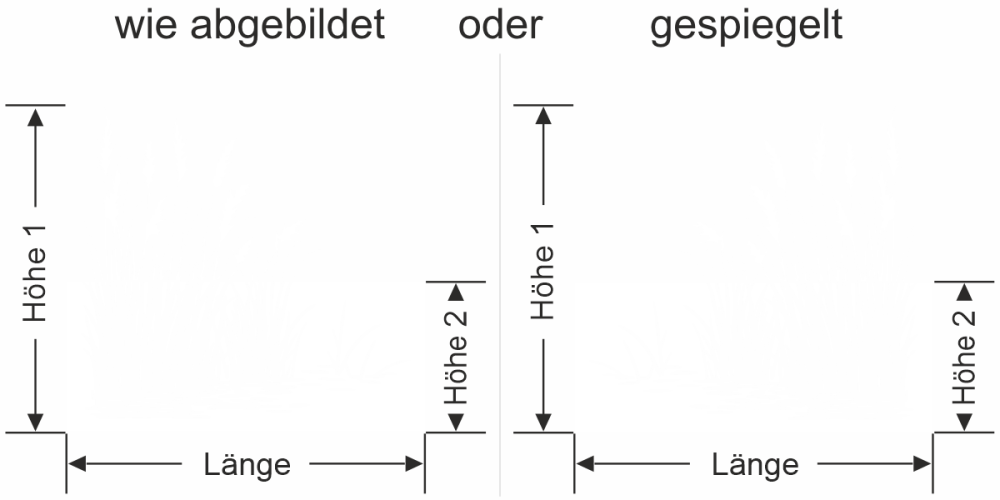Fenster Sichtschutzfolie Ufergräser im Wind