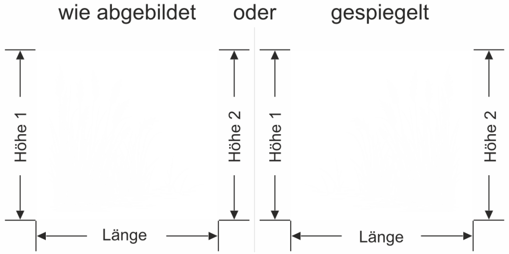 Fenster Sichtschutzfolie Ufergräser im Wind