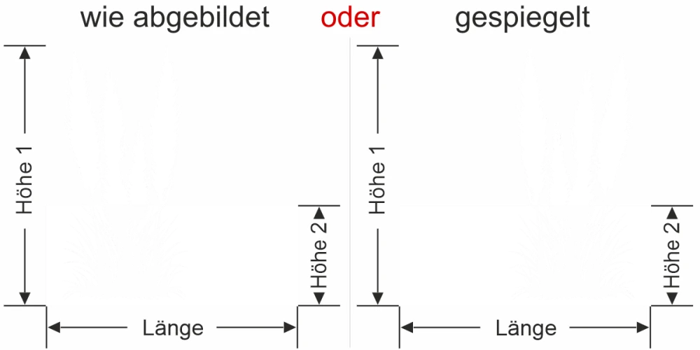 Fensterfolie Pampasgras mit Zierwedel - Ansicht Ausrichtung mit Farbauswahl und Anleitung zur Größenberechnung - Vorschlag 1
