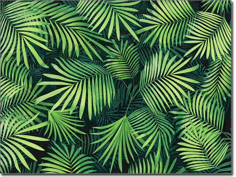 Fensterfoto Palmblätter