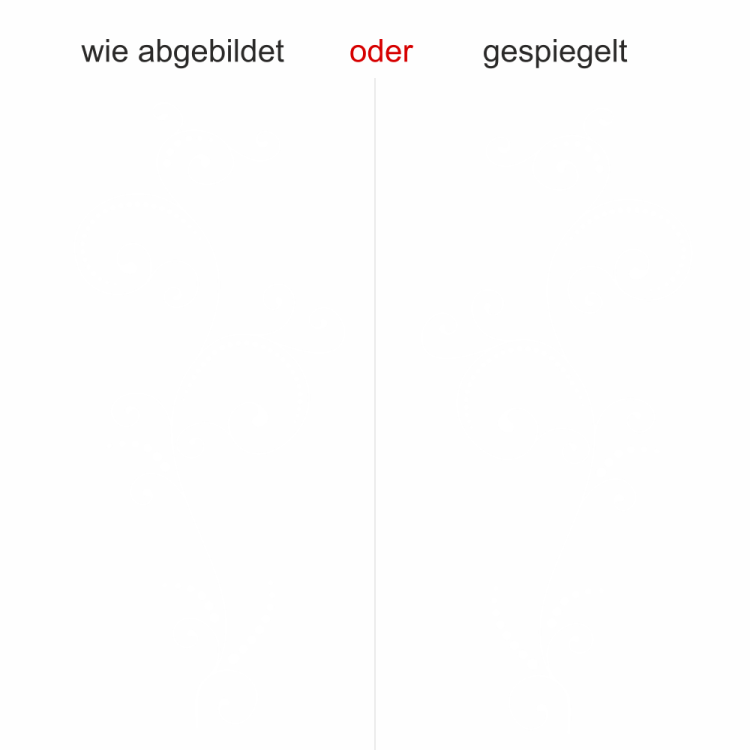 Fenstertattoo Schnörkelranke - Ansicht Farbauswahl